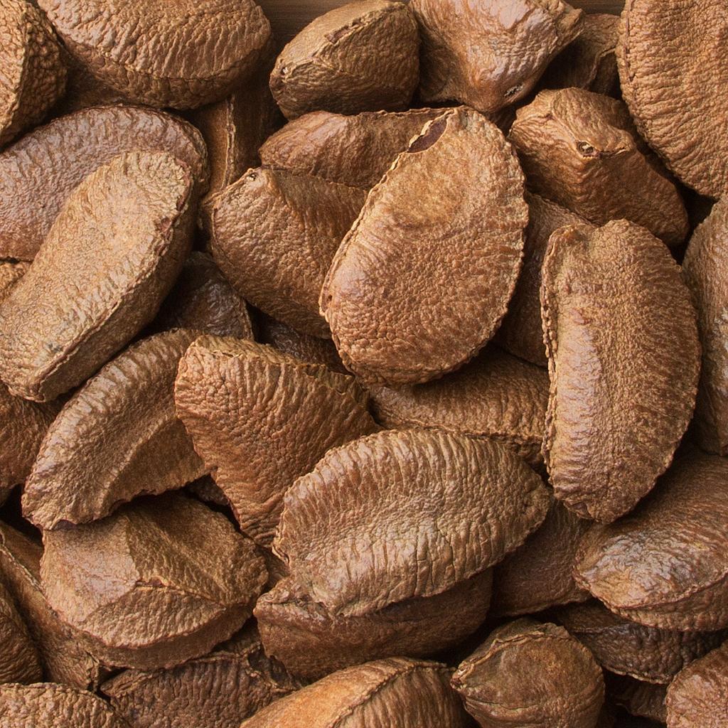 Brazil-Nuts-01