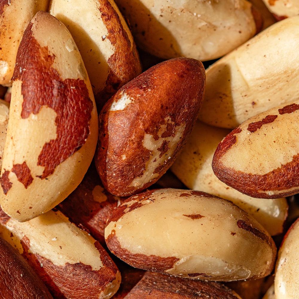 Brazil-Nuts-02