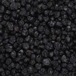 Dry Blue Berry